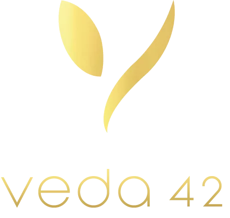 Veda42 logo